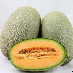 长期吃哈密瓜好吗,长期食用哈密瓜的健康益处与注意事项