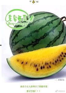 吃瓜网是全球,全球热点事件一网打尽