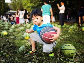 吃瓜讨论中心,揭秘娱乐圈幕后故事