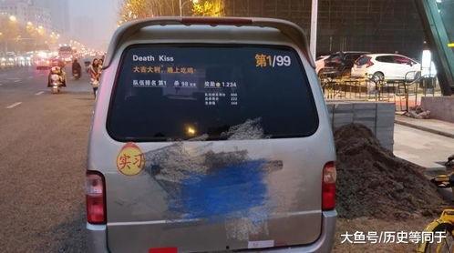 吃瓜喵车贴,趣味横生的汽车装饰新潮流